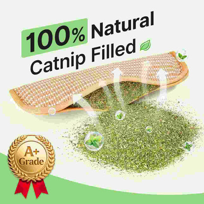 100% Natural Sisal Catnip Pillow Toy — Satisfy Scratching & Teeth Cleaning Instantly!