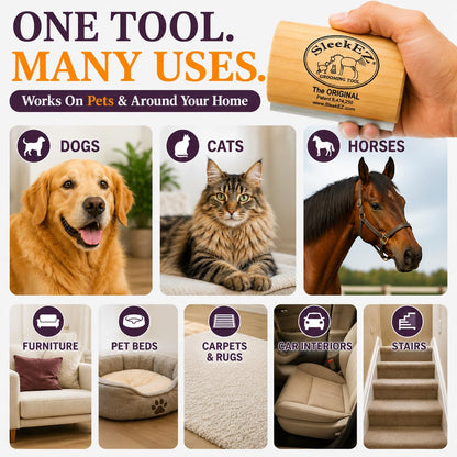 Remove Loose Dog Hair Before It Covers Your Home