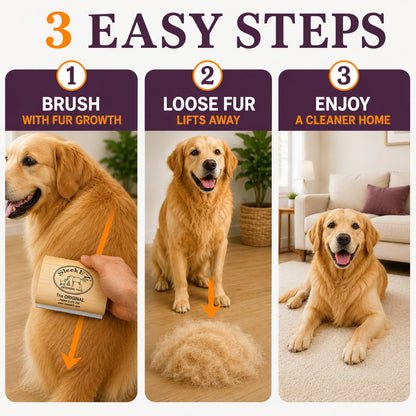 Remove Loose Dog Hair Before It Covers Your Home