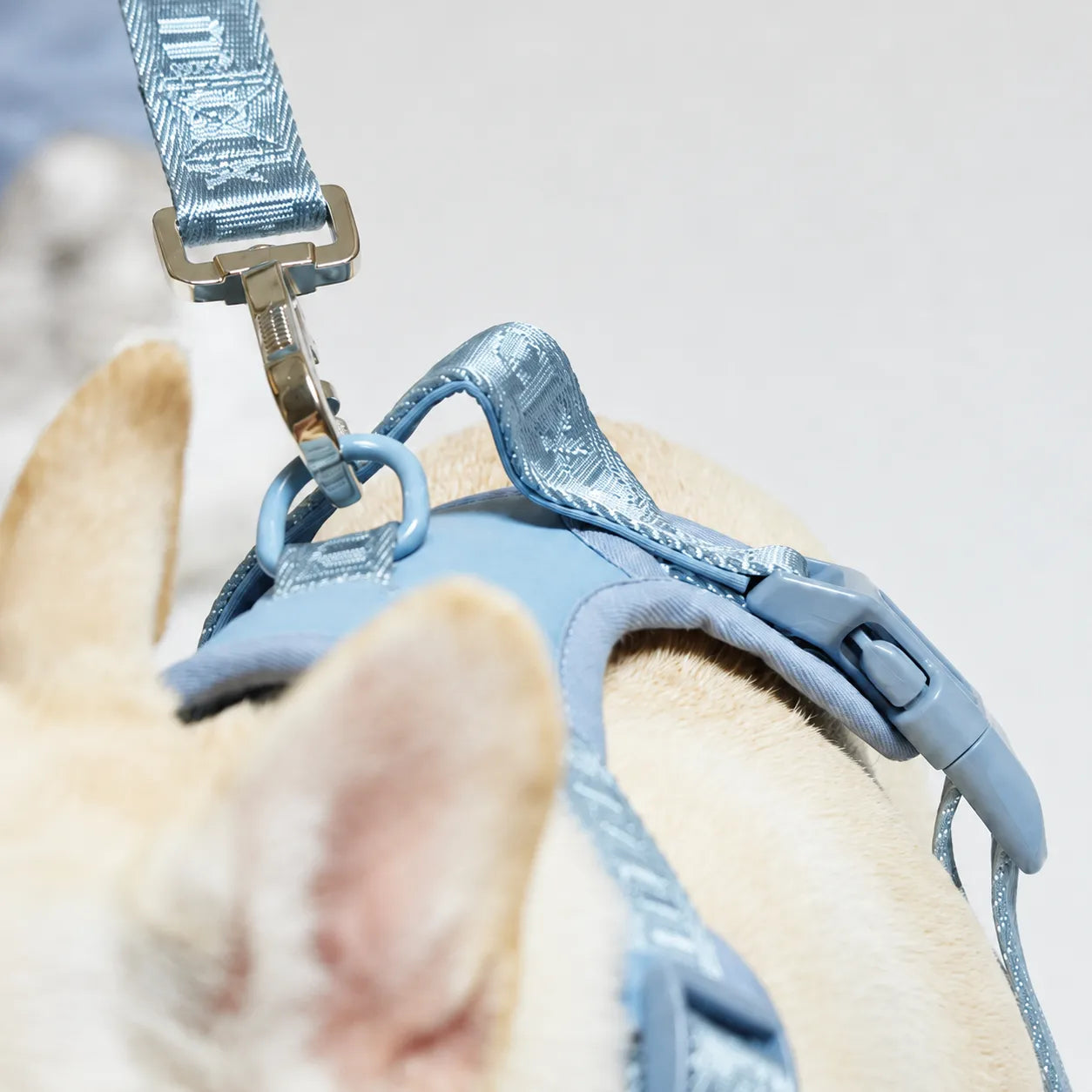 The Ultimate Breathable & Easy-Fit Dog Harness