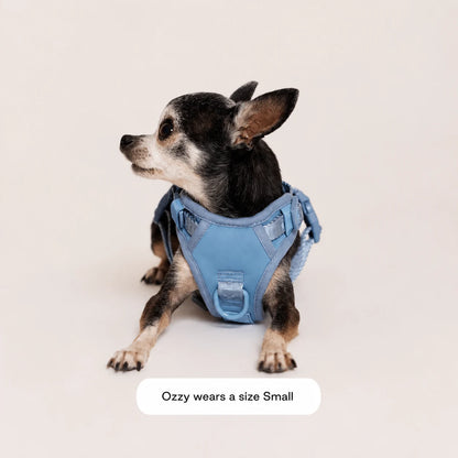 The Ultimate Breathable & Easy-Fit Dog Harness