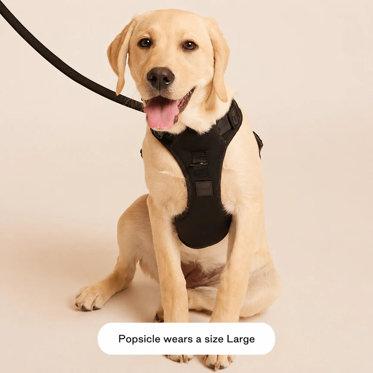 The Ultimate Breathable & Easy-Fit Dog Harness