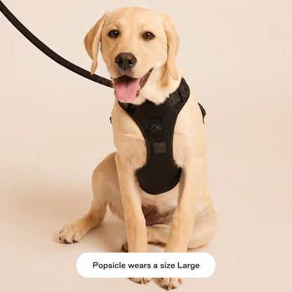The Ultimate Breathable & Easy-Fit Dog Harness