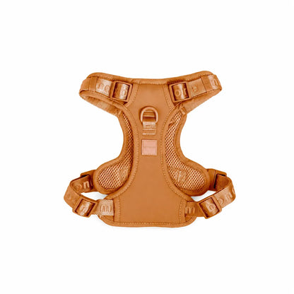 The Ultimate Breathable & Easy-Fit Dog Harness