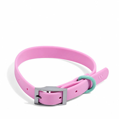 The Ultimate Waterproof & Odor-Free Flex Dog Collar | 2 Pack per Set