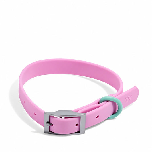 The Ultimate Waterproof & Odor-Free Flex Dog Collar | 2 Pack per Set