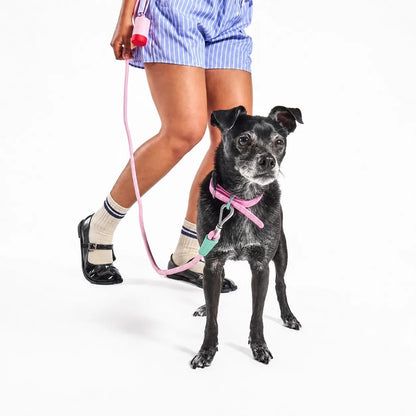 The Ultimate Waterproof & Odor-Free Flex Dog Collar | 2 Pack per Set